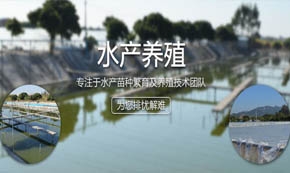 惠州市优源水产养殖有限公司手机版建设